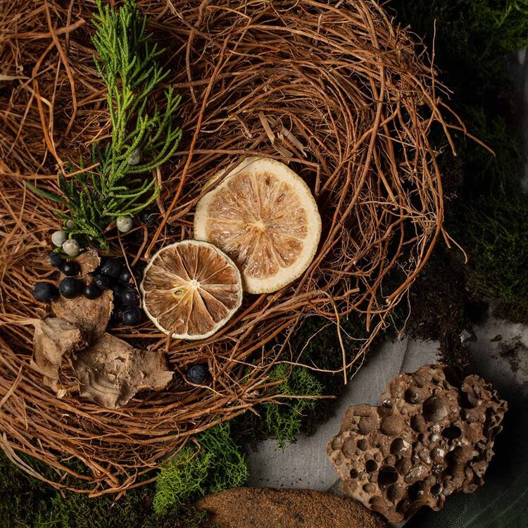 GROOM Hair Serum 60 ml (2 oz)