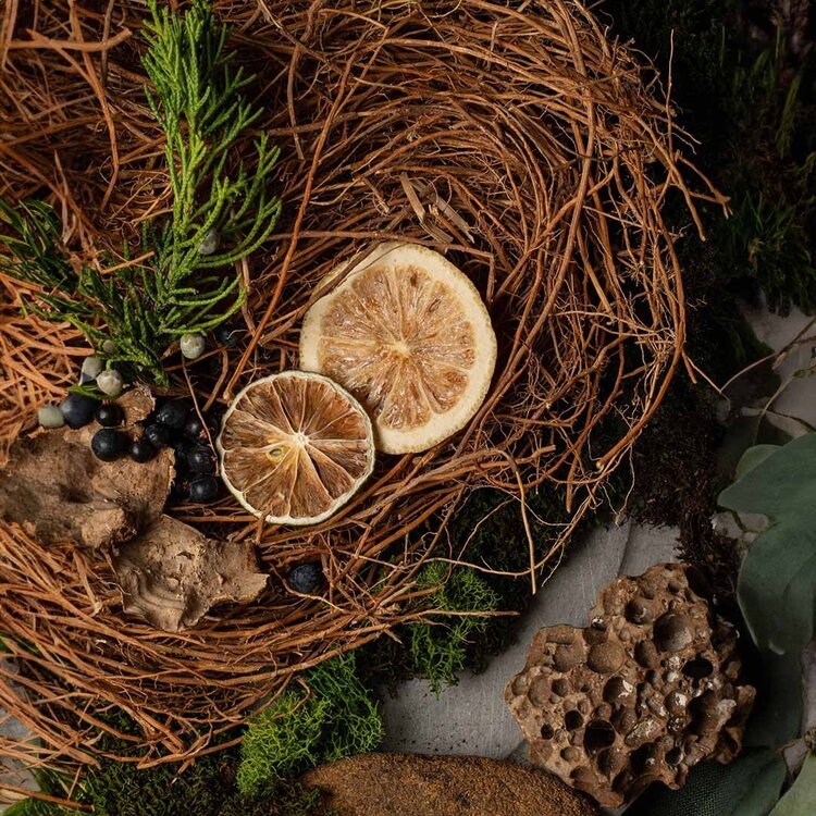 GROOM Lip Balm 4.25g (0.15 oz)