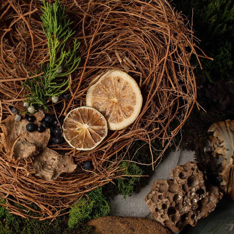 GROOM Deodorant Spray