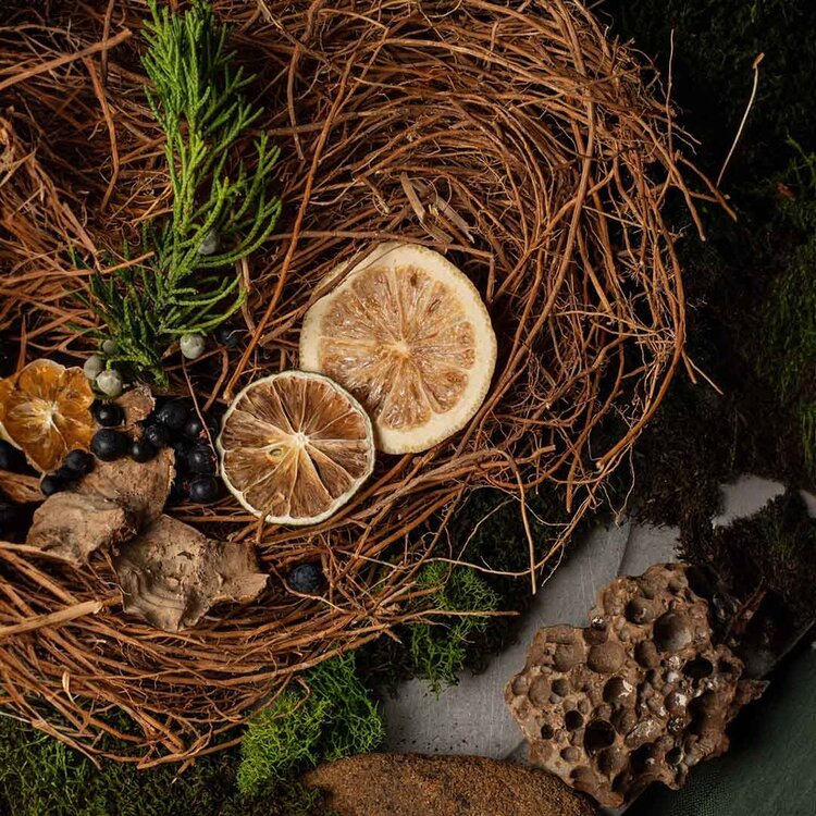 GROOM Déodorant en Bâton