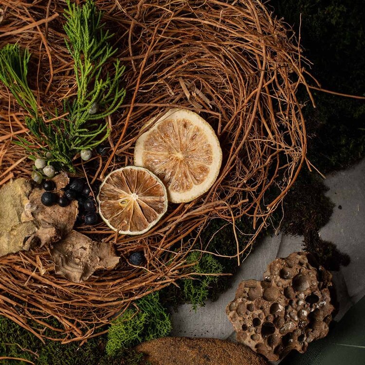 GROOM Moisturizing Shower Gel