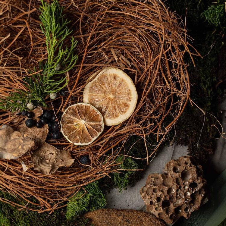 GROOM Revitalisant Fortifiant