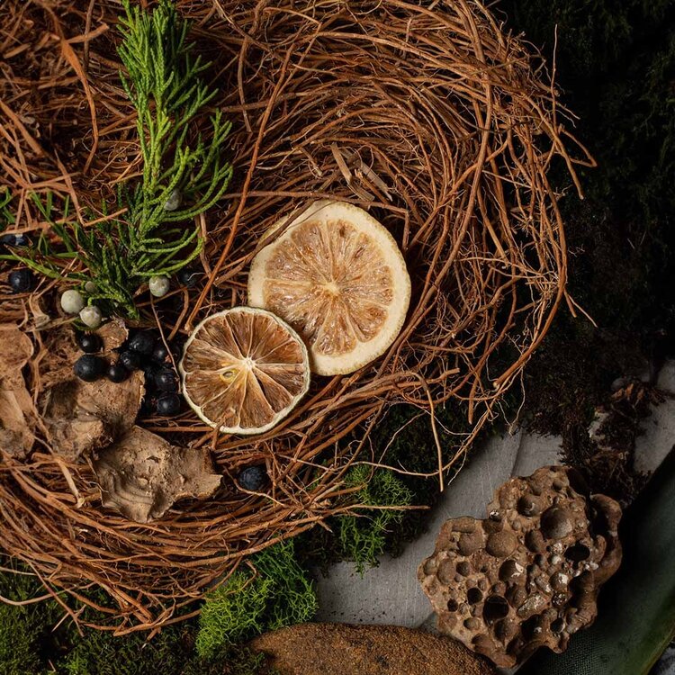GROOM Fortifying Shampoo