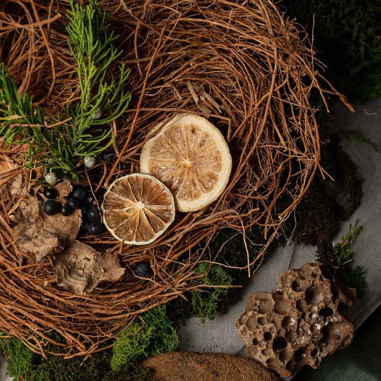 GROOM Introduction Set | Shaving Care