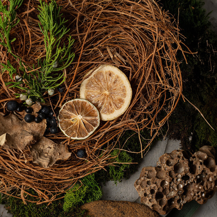 GROOM Cire à Moustache 15ml (0.5 oz)