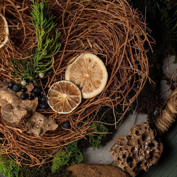 GROOM Introduction Set | Beard Care