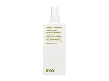 EVO Mister Fantastic | Spray Tenue Flexible