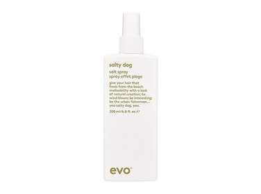 EVO Salty Dog | Salt Spray