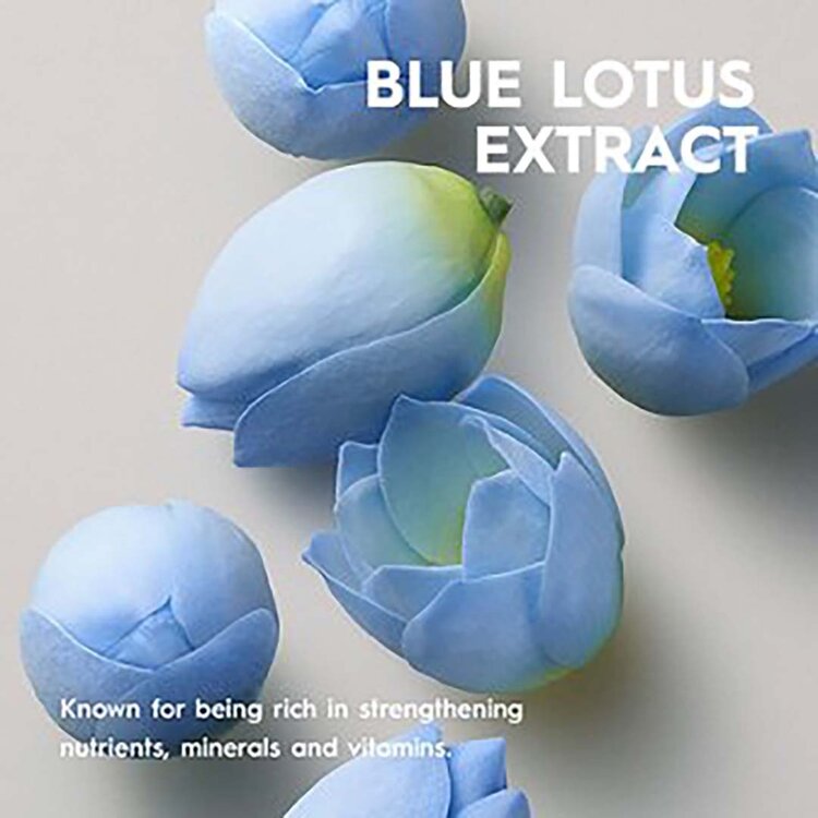 KERASILK Specialists | Spray Volumisant