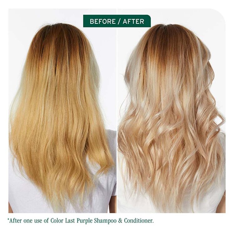 BIOLAGE Professional Hair Spa Biolage | Color Last | Shampooing Violet