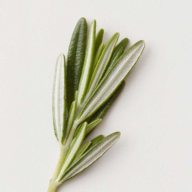 AG | CARE Molding Cream | Sculptez et Coiffez