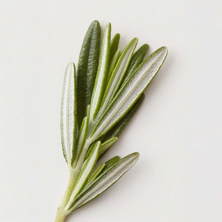 AG | CARE Stucco | Pâte d'Argile Mate