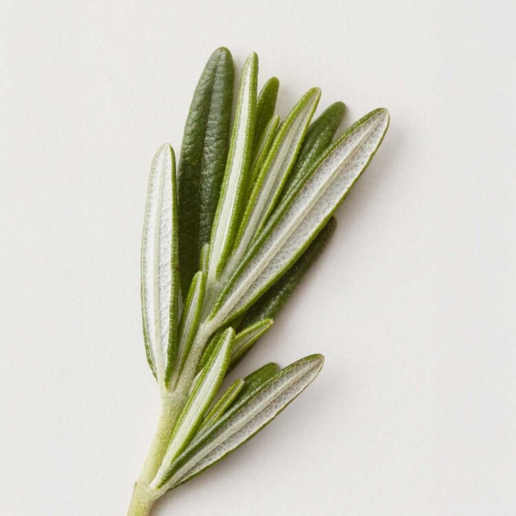 AG | CARE Conditioning Mist |  Spray Démêlant 355 ml