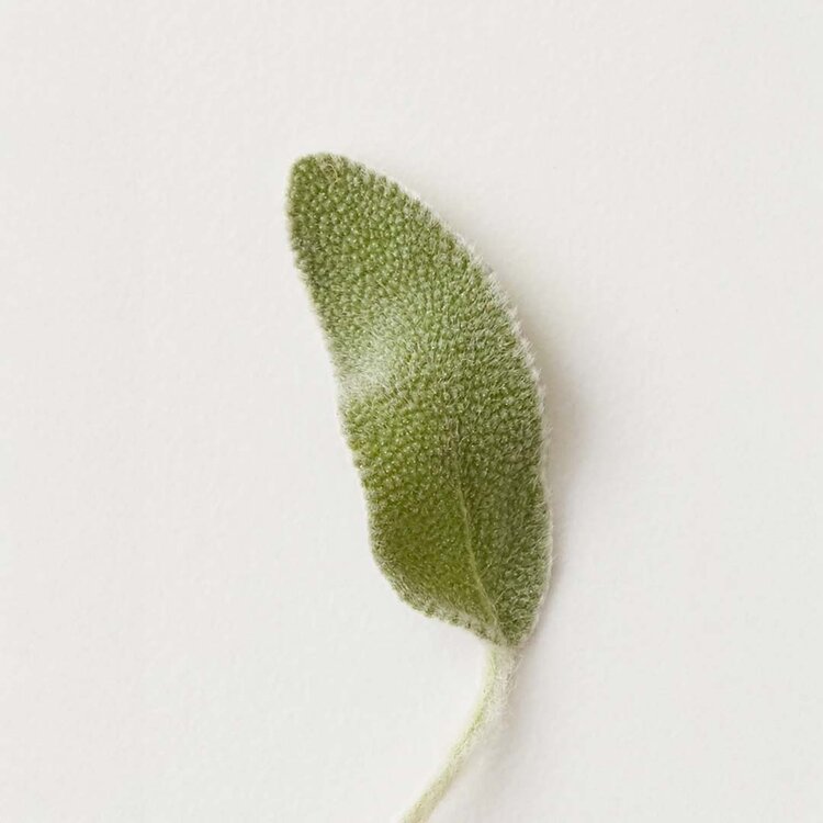 AG | CARE Conditioning Mist |  Spray Démêlant 355 ml