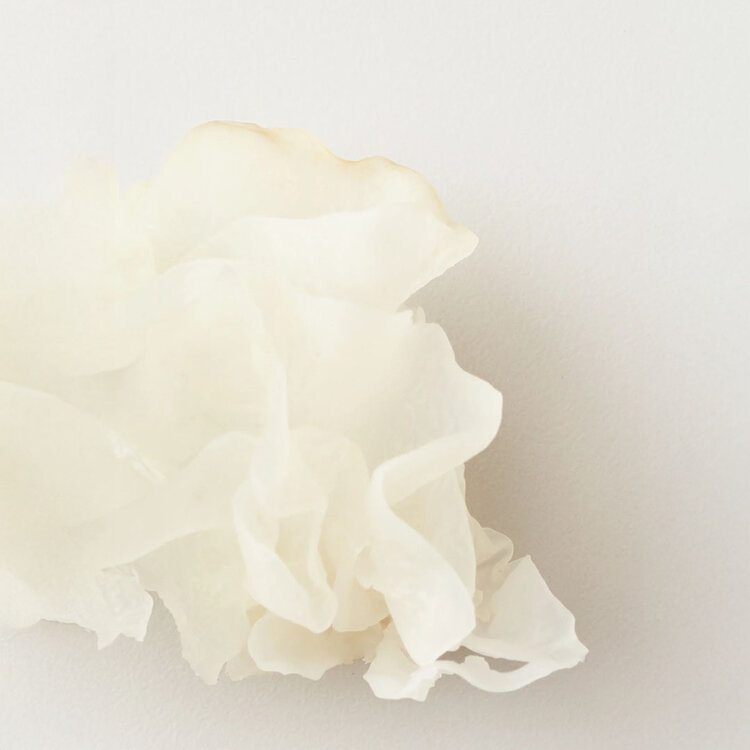 AG | CARE Nourish | Masque Hydratant aux Champignons des Neiges 148 ml