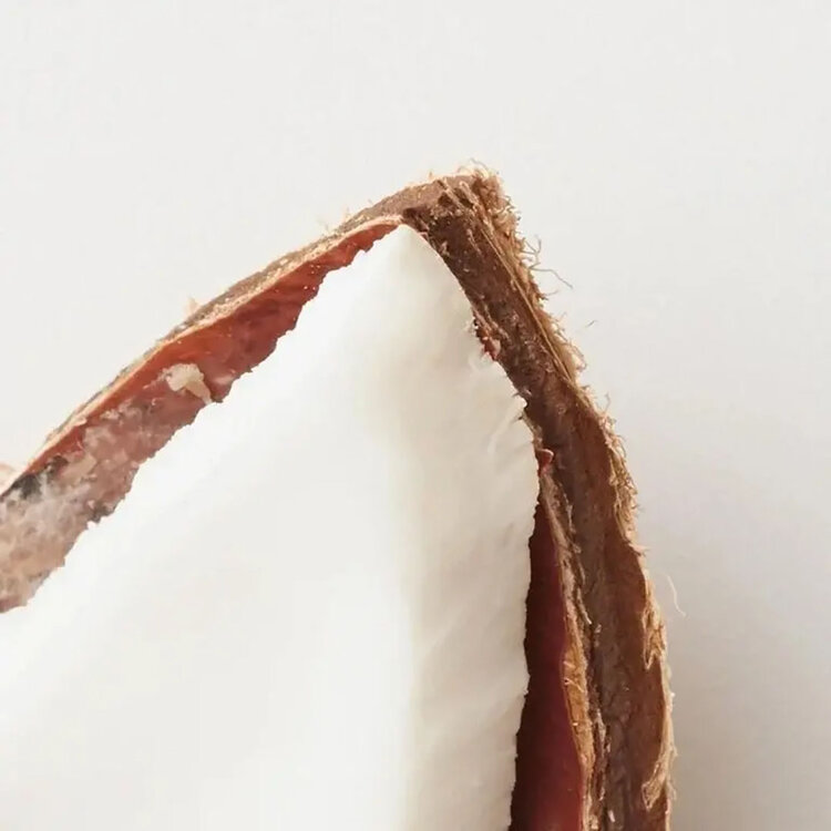 AG | CARE Curl Fresh | Revitalisant à la Noix de Coco et à l'Avocat