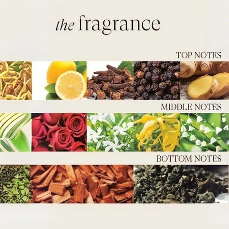 L'ANZA Scalp Therapy | Stimulating System | Kit – stimulates and revitalizes your hair and scalp