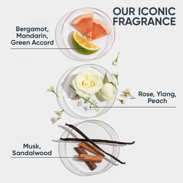 BIOLAGE Professional Hair Spa Biolage | ***HydraSource | Hydra Foaming Styler (234 g / 8.25 oz) – Lightweight Moisturizing Mousse for Medium Hold