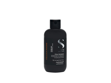 ALFAPARF Milano Semi di Lino | Sublime | Glow Multiplier (150 ml / 5.07 oz)