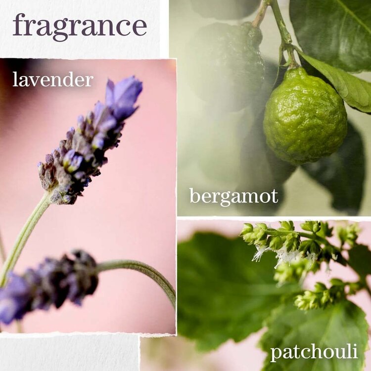 PUREOLOGY Hydrate | Glow Catcher | Huile (50 ml / 1.7 oz) – Nutrition éclat pour cheveux secs