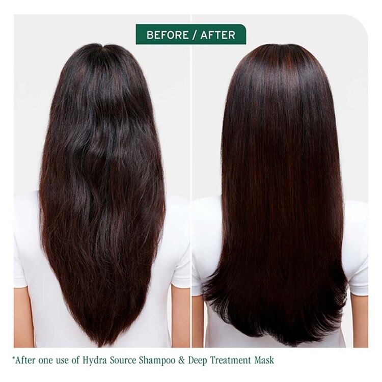 BIOLAGE Professional Hair Spa Biolage | Hydra Source | Masque de Soin Profond – Soin intensif hydratant pour cheveux secs