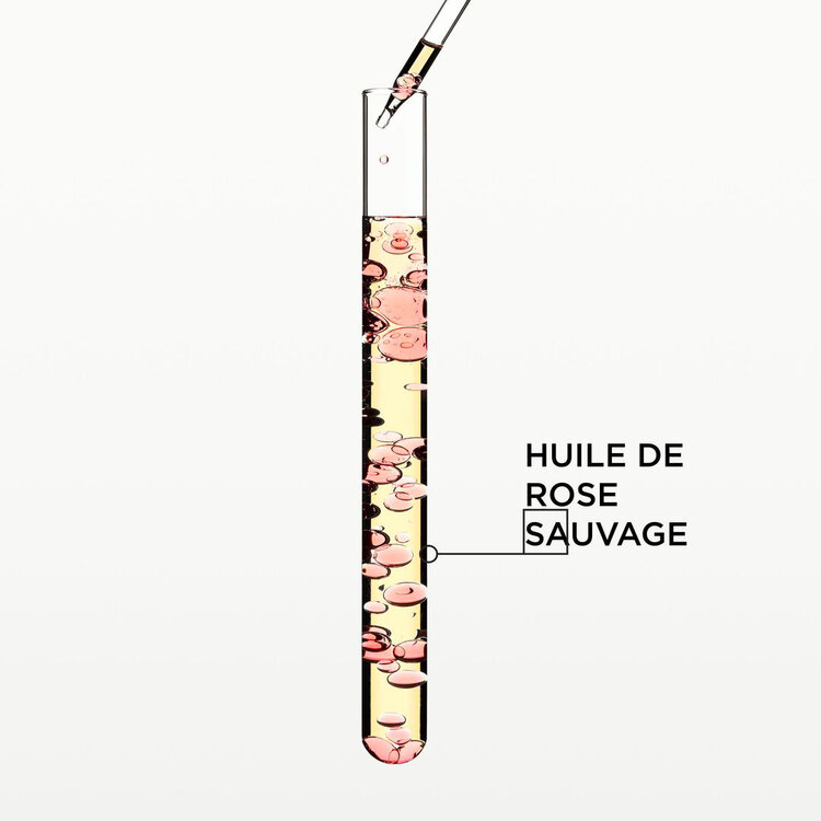 KÉRASTASE Routine Capillaire | Ensemble Réveille Capillaire | Soins Nutrition & Brillance Intense – Nourrir La Fibre, Lisser Les Frisottis & Révéler L’Éclat