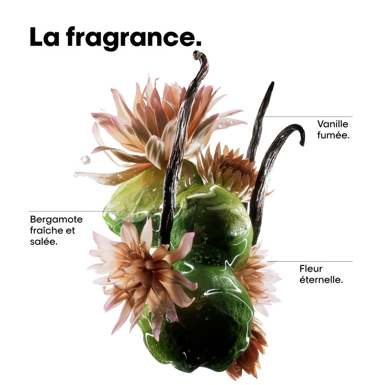 L'ORÉAL PROFESSIONNEL Absolut Repair Molecular | Coffret des Fêtes 2025 | Réparation Intense & Douceur