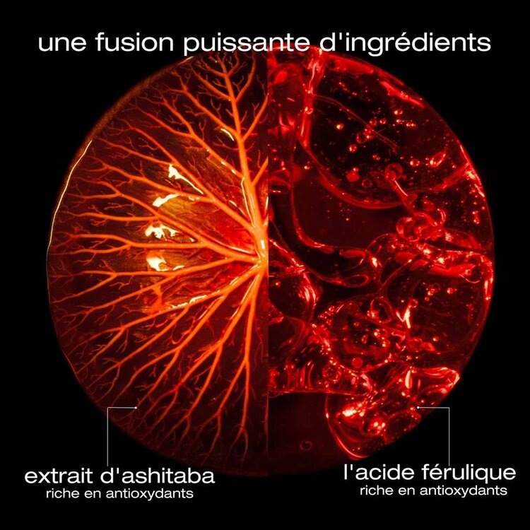 SHU UEMURA Ashita Supreme | Coffret des Fêtes 2025 | Revitalisation & Douceur