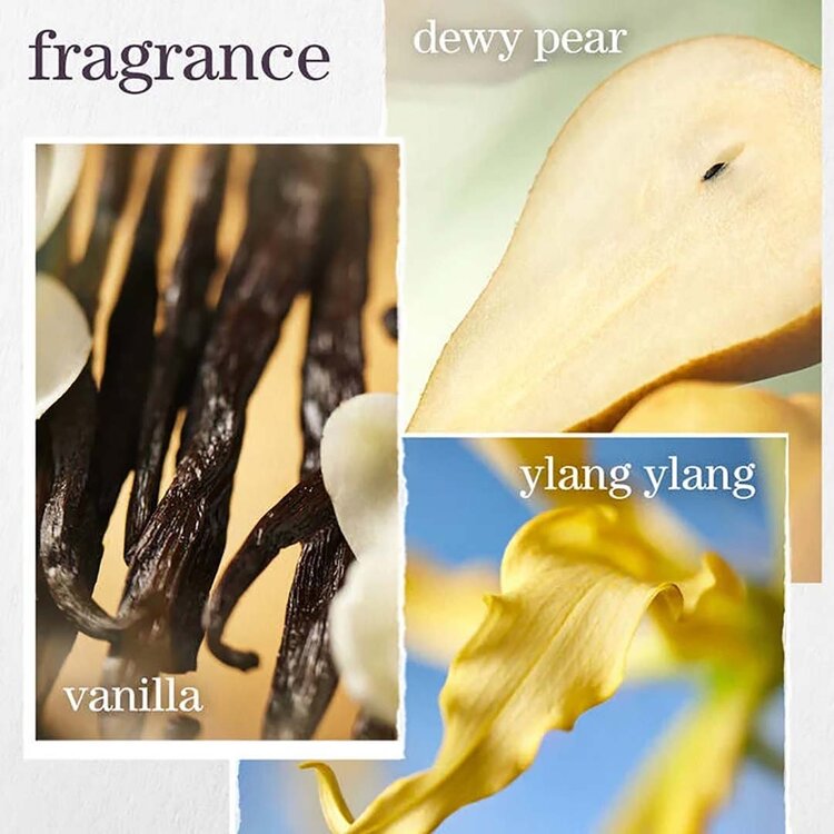 PUREOLOGY Nanoworks Gold | Coffret Fêtes 2025 | Cheveux Ternes & Très Secs — Nutrition & Éclat