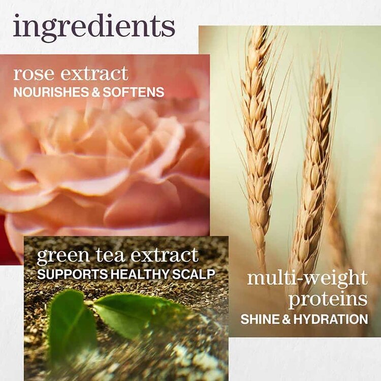 PUREOLOGY Hydrate | Holiday Set 2025 | Normal to Dry Hair — Softness & Hydration