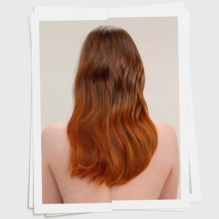 DAVINES Heart of Glass | Holiday Set 2025 | Mysterious Polar Regions — Blonde Care & Shine