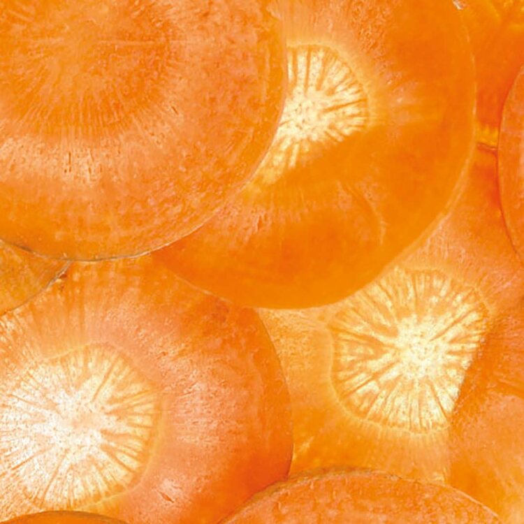 MEDAVITA BETA REFIBRE | Holiday Set 2025 | Reconstructive — Repair & Strength