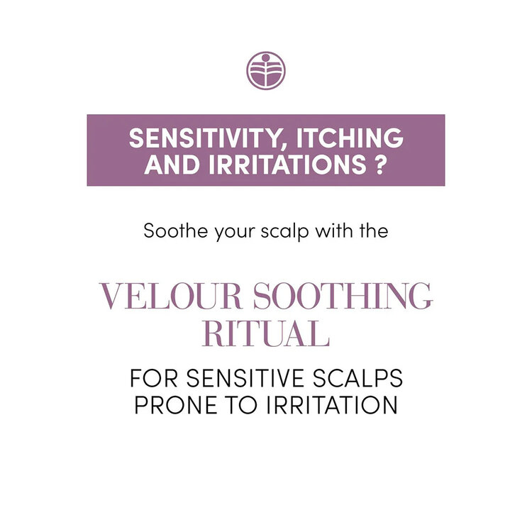MEDAVITA Velour | Holiday Set 2025 | Soothing — Sensitive Scalp Comfort