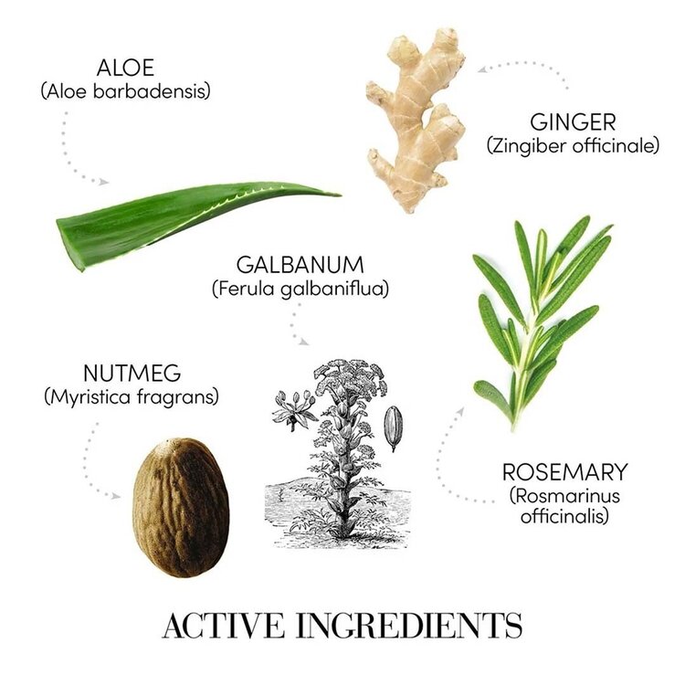 MEDAVITA Puroxine | Coffret Fêtes 2025 | Antipellicules — Purifiant & Confort Cuir Chevelu