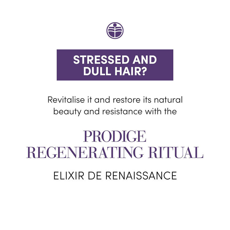 MEDAVITA Prodige | Coffret Fêtes 2025 | Régénérant — Force & Sublimation