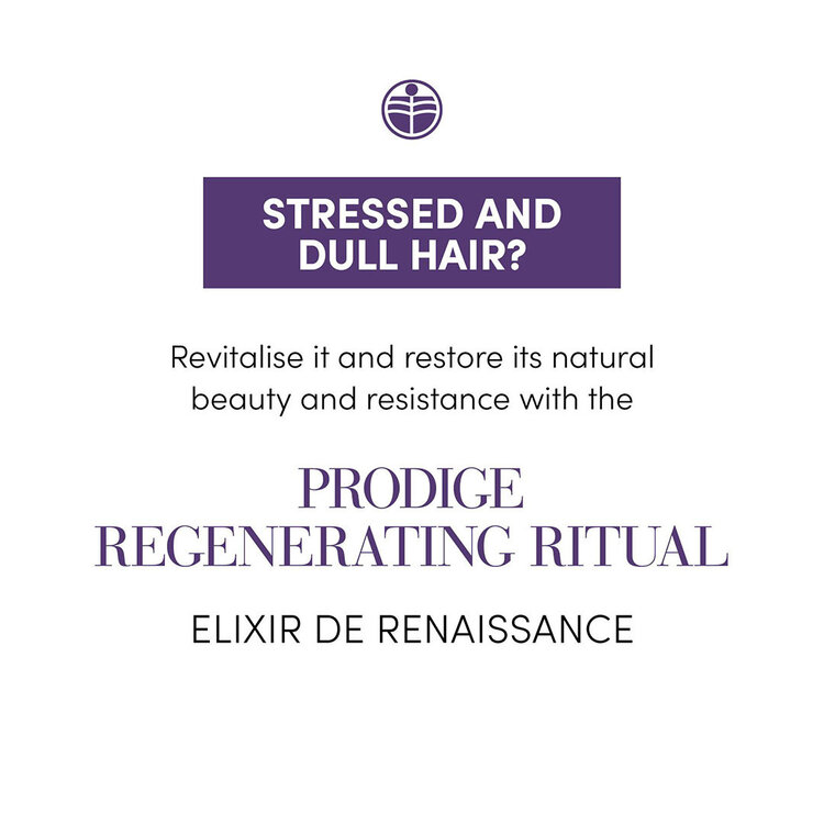 MEDAVITA Prodige | Shampooing Régénérant — Force, Douceur & Éclat