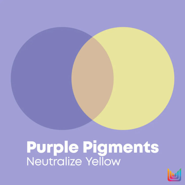 MATRIX So Silver | Coffret Fêtes 2025 — Neutralise, Illumine & Rafraîchit les Reflets