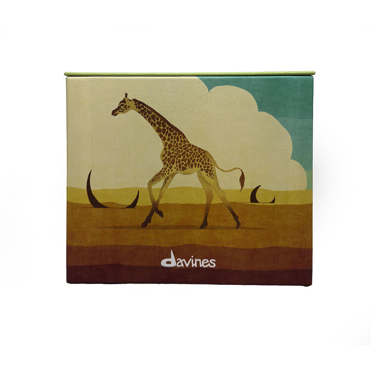 DAVINES NOUNOU | Coffret Fêtes 2025 | Savane Rayonnante — Nutrition & Réparation