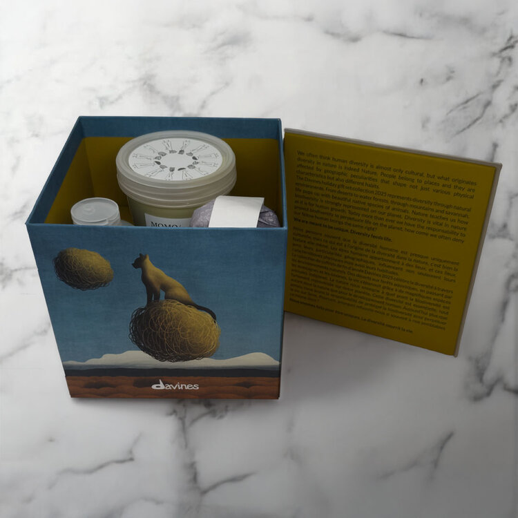 DAVINES MOMO | Holiday Set 2025 | Enchanting Prairie — Hydration & Lightweight Care