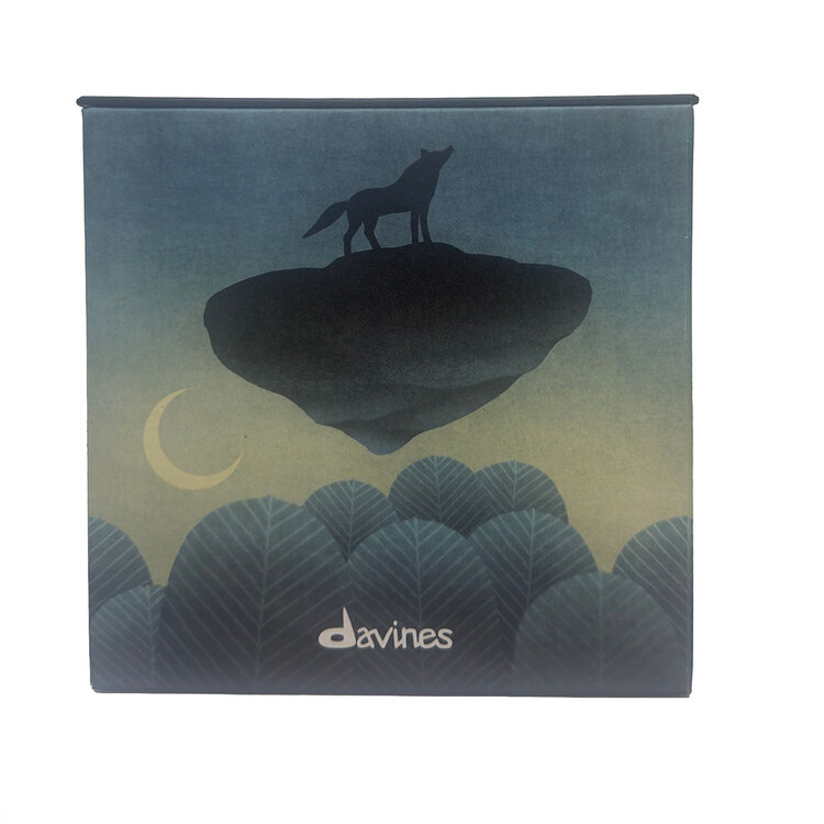 DAVINES OI | Coffret Fêtes 2025 | Forêt Tempérée Précieuse — Brillance & Parfum