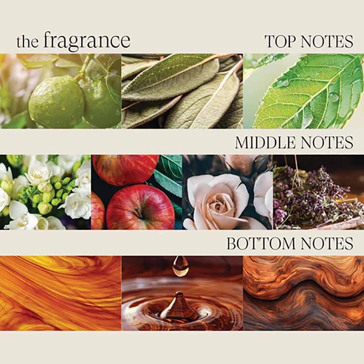 L'ANZA L’ANZA | Healing Style Dry Texture Spray — Airy Volume & Lived-In Texture