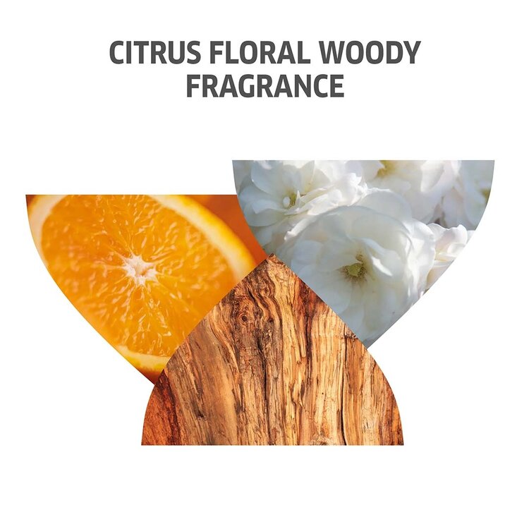 WELLA Wella | Invigo Color Brilliance Coarse — 2025 Holiday Set — Color Radiance & Lasting Smoothness