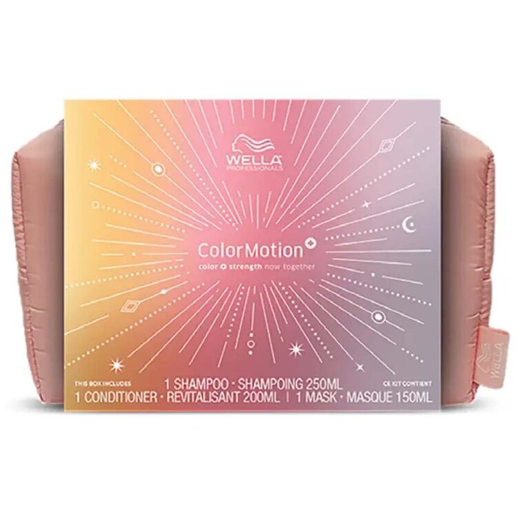 WELLA Wella | Invigo Color Brilliance Normal —  2025 Holiday Set — Color Radiance & Lightweight Smoothness