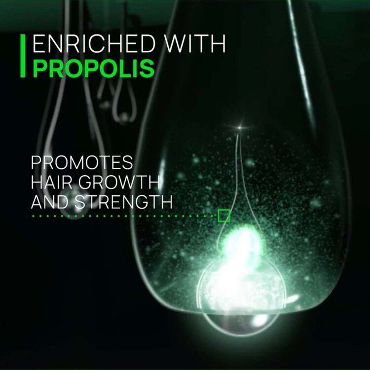 René FURTERER Paris René Furterer | Triphasic — Holiday Gift Set 2025 — Density, Strength & Revitalized Scalp