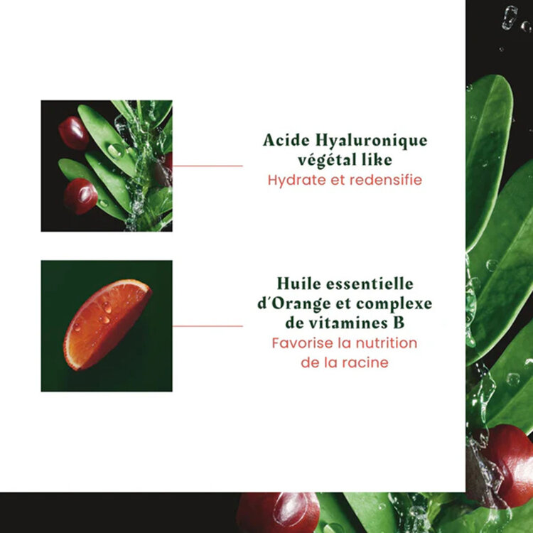 René FURTERER Paris René Furterer | Tonucia — Holiday Gift Set 2025 — Plumping Youth & Radiance