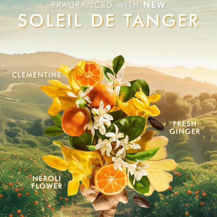 MOROCCANOIL Body | Shower Gel 250 ml – Gentle body cleanser & signature scent