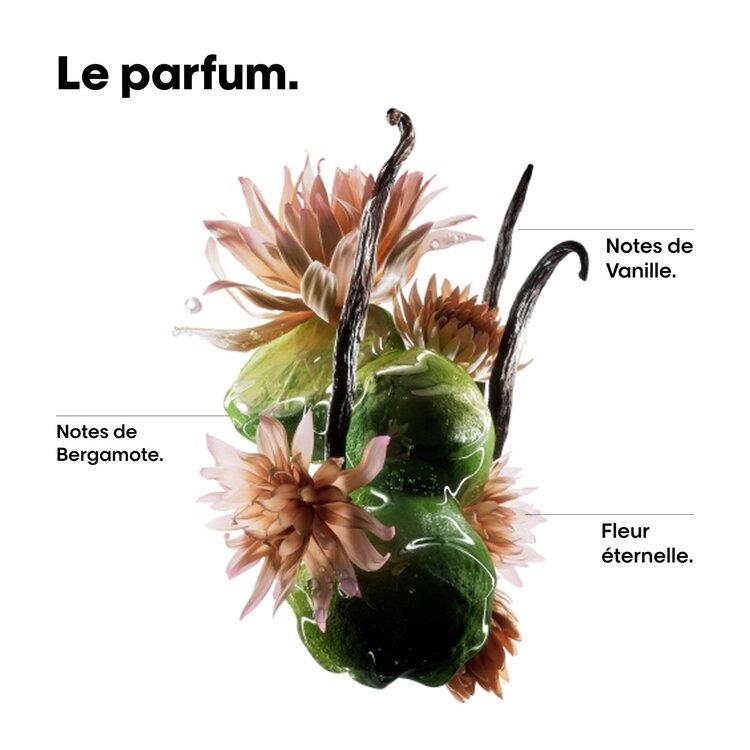 L'ORÉAL PROFESSIONNEL Serie Expert | Absolut Repair Molecular | Bi-Phase Oil – Lightweight shine and frizz control