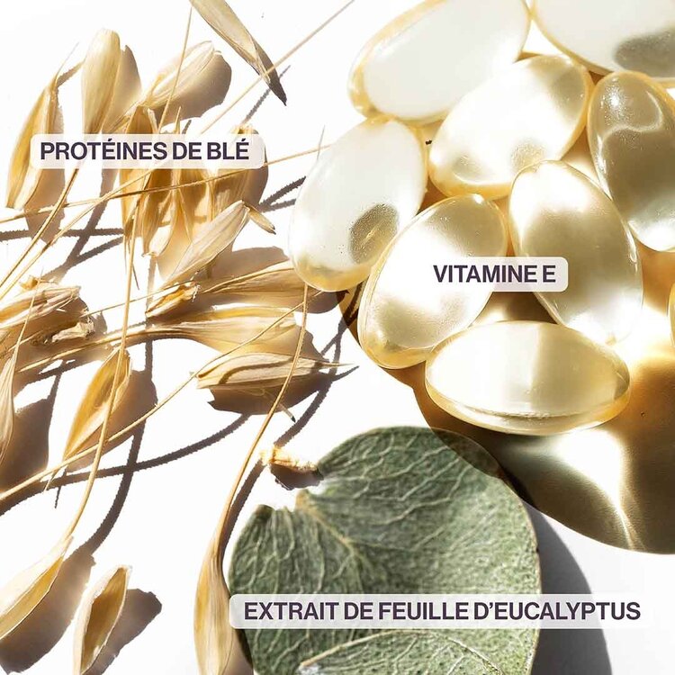 PUREOLOGY Hydrate Sheer | Coffret de Printemps 2026 – Hydratation Légère