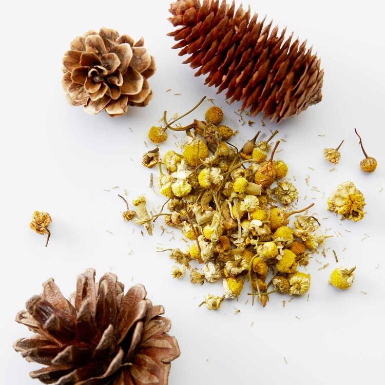 AMERICAN CREW 3-In-1 | Chamomile + Pine – American Crew Shampoo, Conditioner & Body Wash