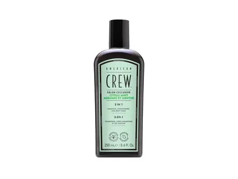 AMERICAN CREW Citrus & Mint | 3-In-1